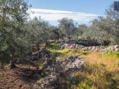 Arrivati in prossimit� di un�antenna, giriamo a sinistra e dopo aver percorso una stretta curva, ci ritroviamo su un�area leggermente sopraelevata denominata Monte della Croce
